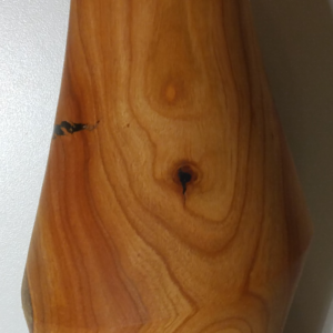 Cherry bud vase