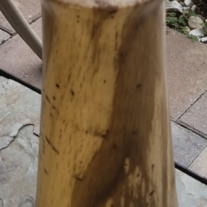 Live Oak Vase